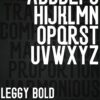 LEGGY Typeface - Sans Serif Variable Font