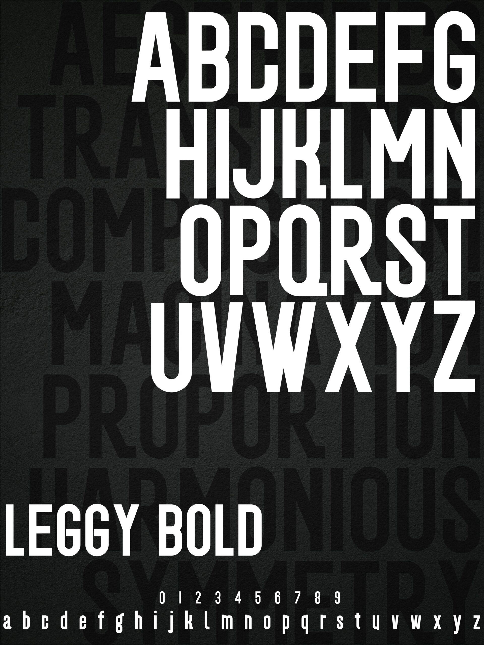 LEGGY Typeface - Sans Serif Variable Font