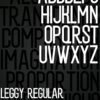 LEGGY Typeface - Sans Serif Variable Font