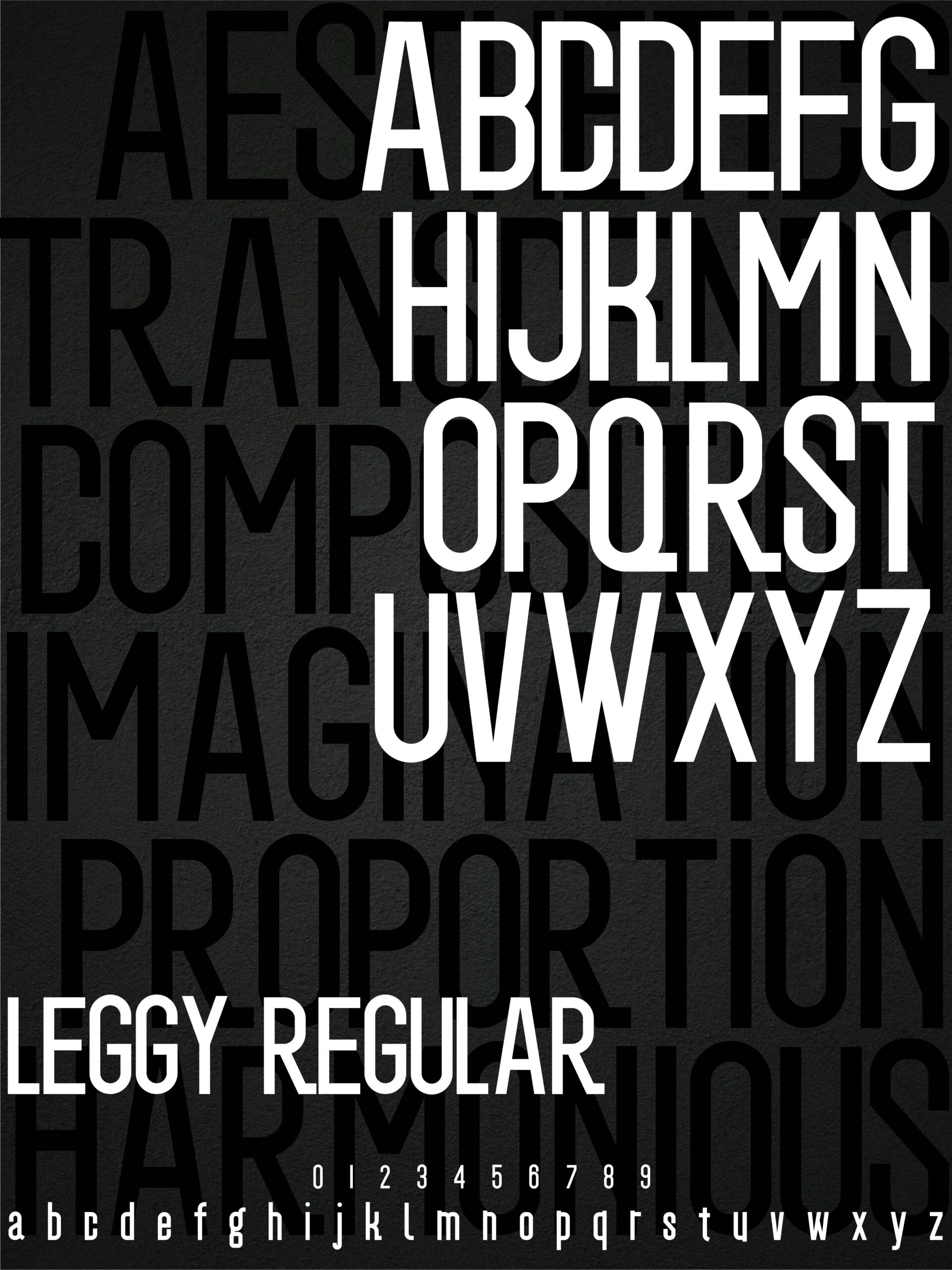 LEGGY Typeface - Sans Serif Variable Font