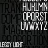 LEGGY Typeface - Sans Serif Variable Font