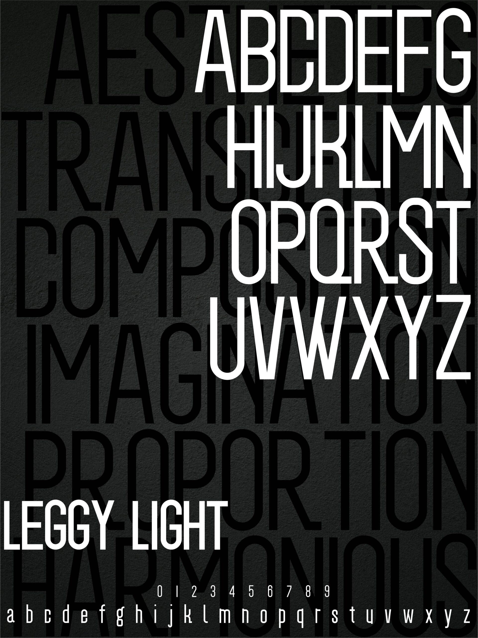 LEGGY Typeface - Sans Serif Variable Font