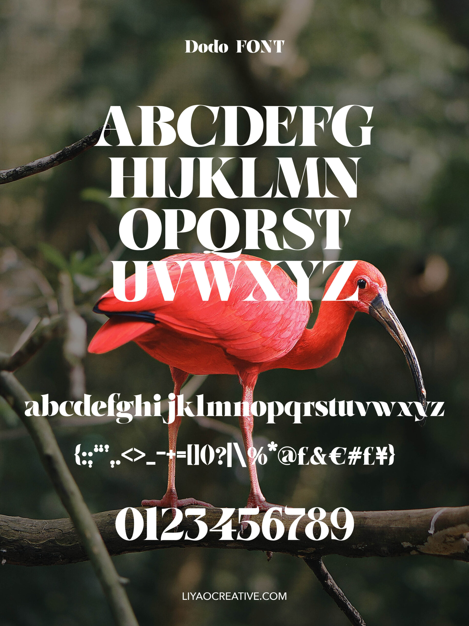 Serif Font Design